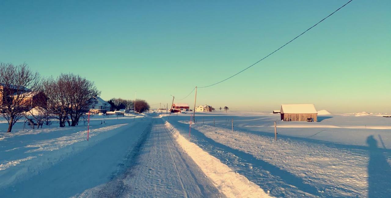 Narnia Lodge Lofoten Gimsoy ภายนอก รูปภาพ