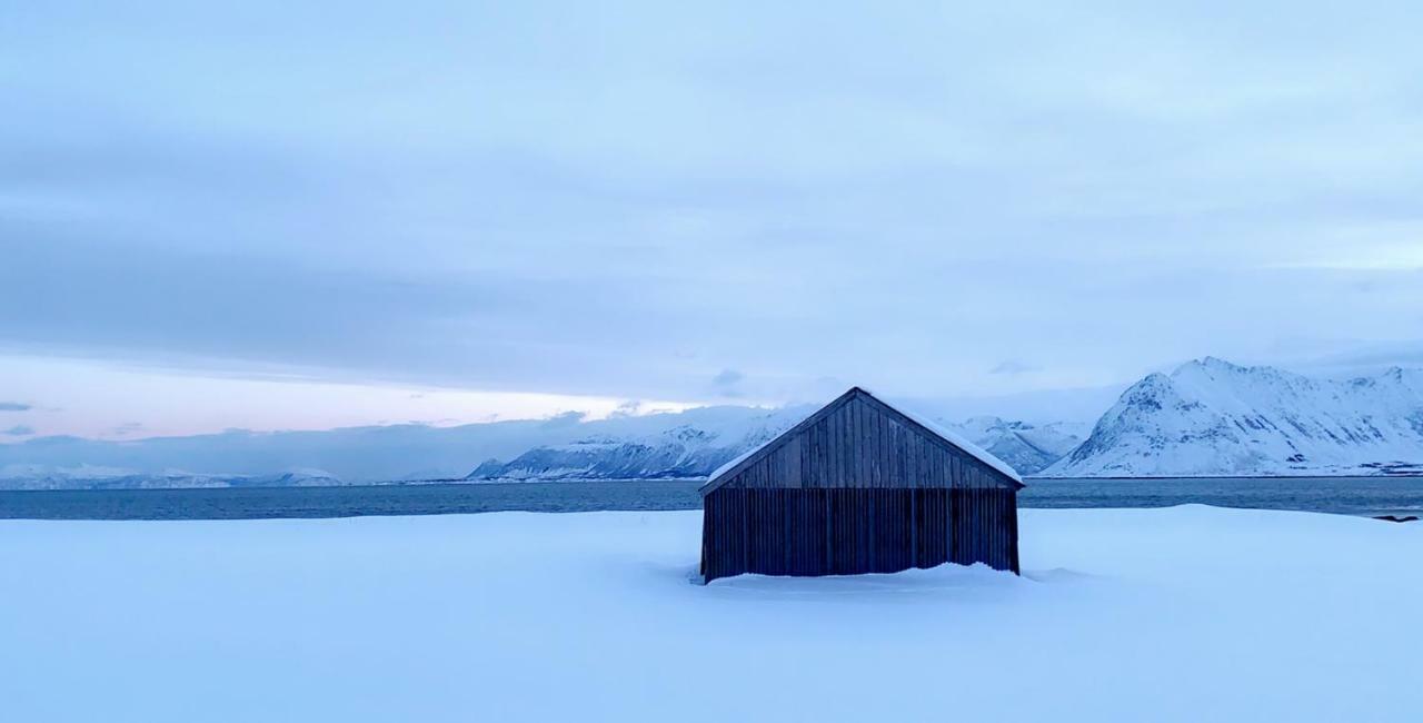 Narnia Lodge Lofoten Gimsoy ภายนอก รูปภาพ